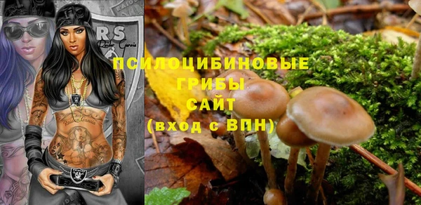 молекула духа Абаза