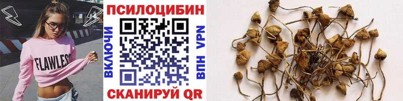 Псилоцибиновые грибы GOLDEN TEACHER наркотики Серафимович